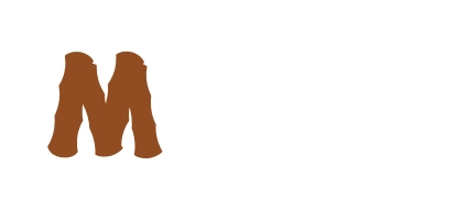 molsota.com